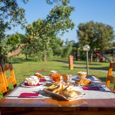 皮昂比诺 Glamping Gli Etruschi酒店 外观 照片