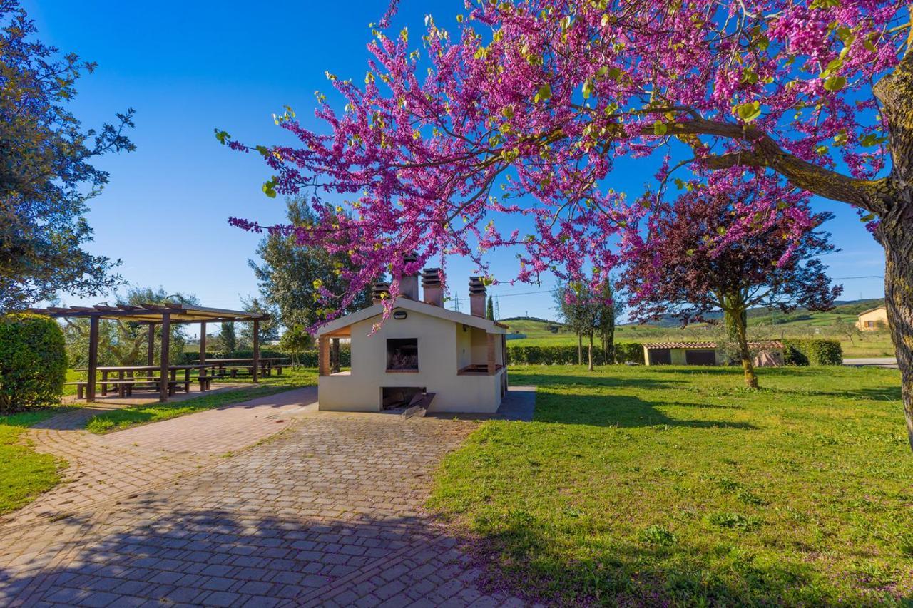 皮昂比诺 Glamping Gli Etruschi酒店 外观 照片