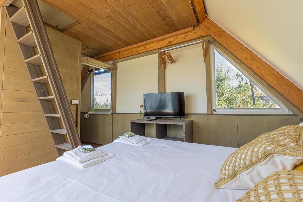 皮昂比诺 Glamping Gli Etruschi酒店 外观 照片