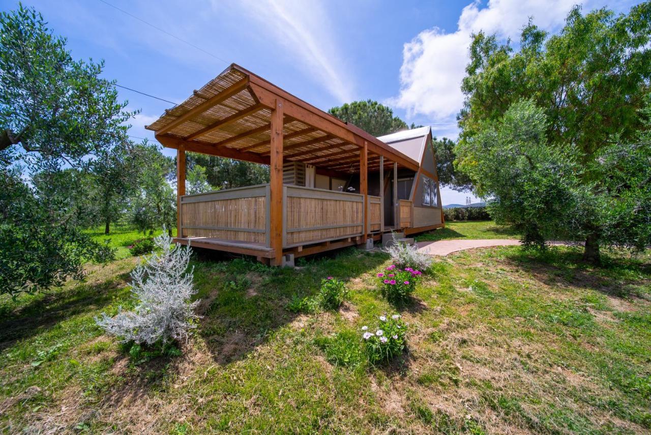 皮昂比诺 Glamping Gli Etruschi酒店 外观 照片