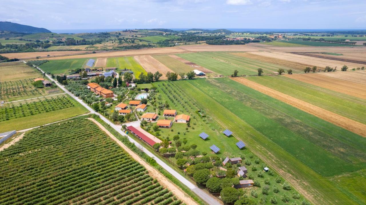皮昂比诺 Glamping Gli Etruschi酒店 外观 照片